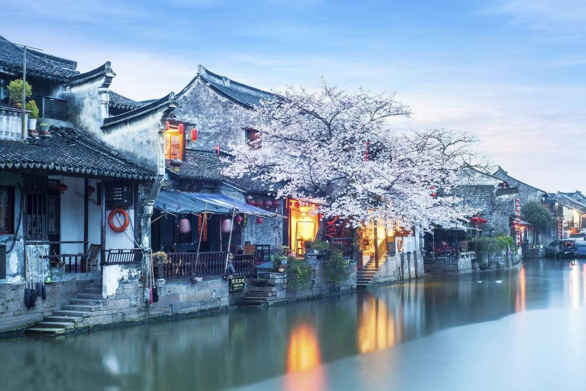 对牛弹琴是指什么动物和生肖?-最佳知识问答网页